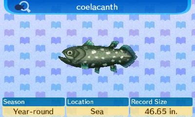 animal crossing new leaf coelacanth.
